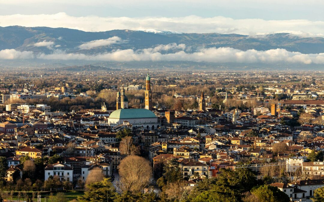 Proposal for a feasibility study for the renewal of the business model of the Vicenza fruit and vegetable market