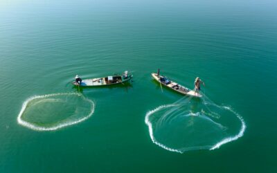 Progetto FISH-IMPACT: Innovazione e Sostenibilità nel Settore Ittico