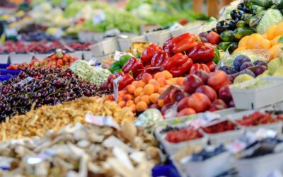 Sviluppo del Piano strategico di Mercafir – Mercato Agroalimentare di Firenze